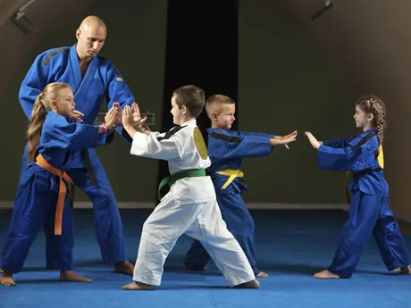 Martial Arts ( Karate, Kick boxing,Krav Maga)